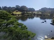 Image of ベルカンプ