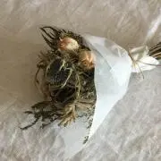 Ｋの画像