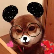 kyokaaa #プロフ必見