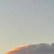 ゆの画像