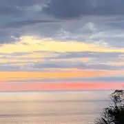 なかおの画像