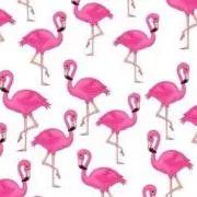 あやぴの画像