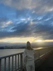 Tの画像