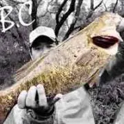 まこぞーの画像