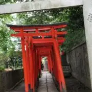 ルーの画像