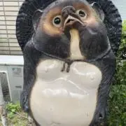 ぽんぽこ屋の画像