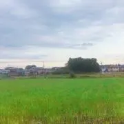 Nの画像