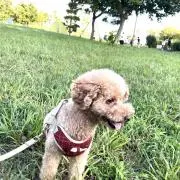 りょーの画像