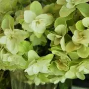 M.Kの画像