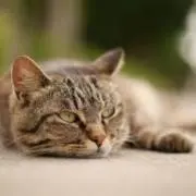 mix