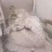 えむ♡プロフ必読の画像