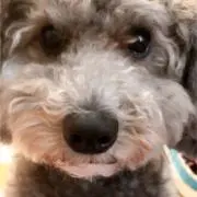 yurira0929の画像