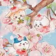 mizuki即購入◎の画像