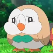 ゆの画像