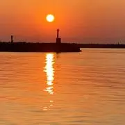 明太子