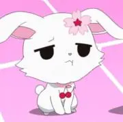 Riの画像