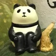 kimikunn