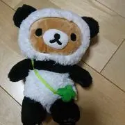 ハピコ꙳★*゜プロフ必読の画像