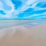 Tの画像
