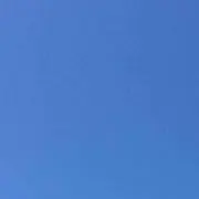 はす