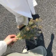 nの画像