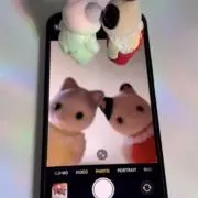 mimiの画像