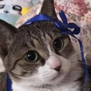 深月(開封時動画撮影)の画像