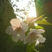 なる☆※21時〜9時購入前コメント必須※の画像