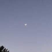 nの画像