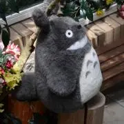 きたろー☆