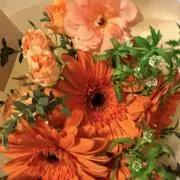 花の画像