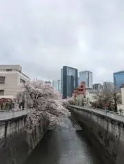 しゃんさんの画像