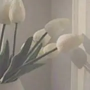 amiの画像