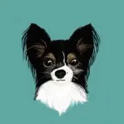 ☆*. tori .*☆の画像