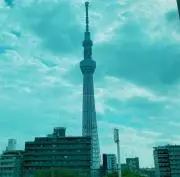 ぽぽ