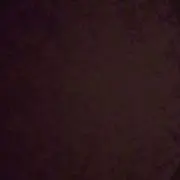 キミドリの画像