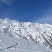 こうの画像