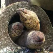壁