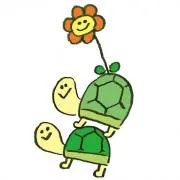 かめの画像