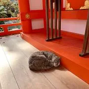 ハビタブルゾーンの画像