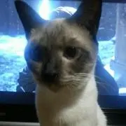 たっくん