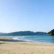 断捨離中❣️値段交渉OK❣️ home新木優子ちゃん♡カーディガン - メルカリ
