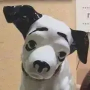 サハラ(プロフ長いけど読んでください)