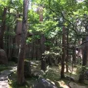 ぴろりんの画像