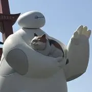 Maruの画像
