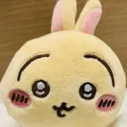 ハチの画像