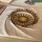 echamの画像