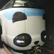 太郎丸の画像