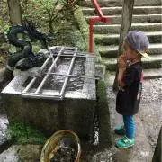 ドラロイン
