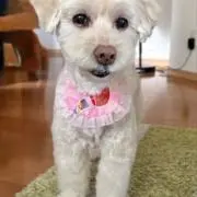 じゅんままの画像